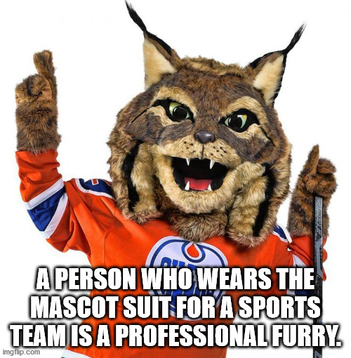 calgary hockey team mascot - A Person Who Wears The Mascot Suit For A Sports Team Is A Professional Furry imgflip.com