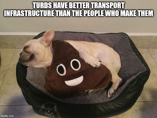 photo caption - Turds Have Better Transport Infrastructure Than The People Who Make Them 00 imgflip.com