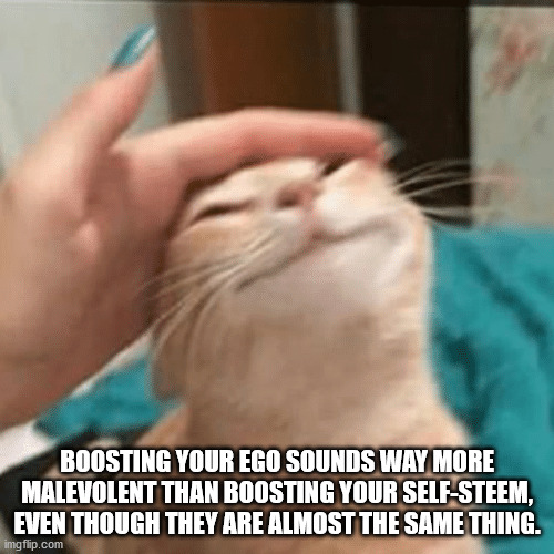 great feeling meme - Boosting Your Ego Sounds Way More Malevolent Than Boosting Your SelfSteem, Even Though They Are Almost The Same Thing. imgflip.com