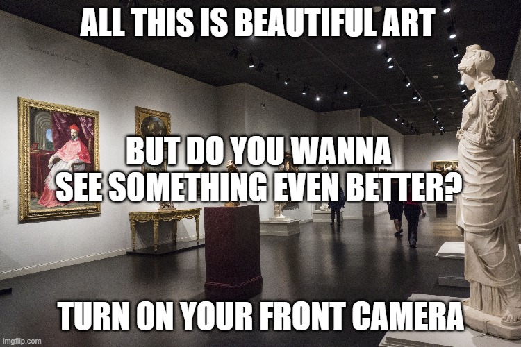 museum - All This Is Beautiful Art But Do You Wanna See Something Even Better? Turn On Your Front Camera imgflip.com