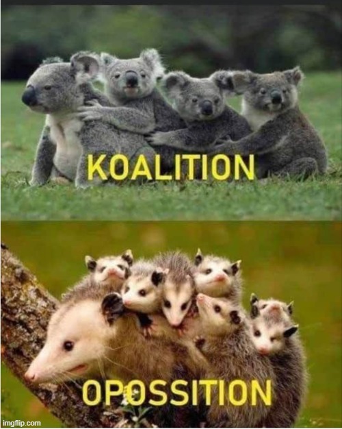 zoology meme - Koalition Ke Opossition imgflip.com