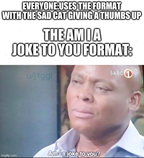 photo caption - EveryoneUses The Format With The Sad Cat Giving A Thumbs Up The Amia Joke To You Format Sabc ujiggl Amla joke to you? imgflip.com