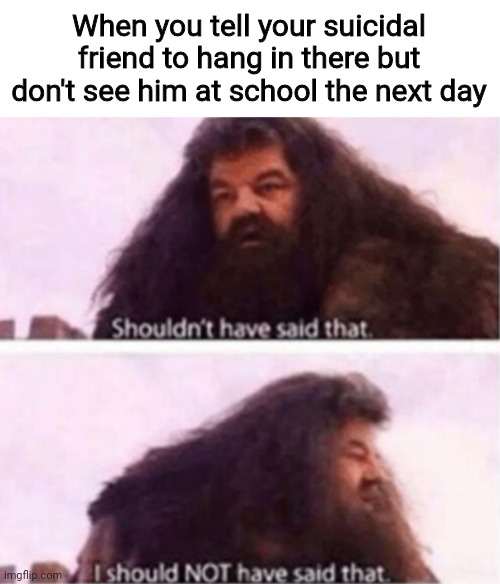 should not have said - When you tell your suicidal friend to hang in there but don't see him at school the next day Shouldn't have said that imgflip.com I should Not have said that.