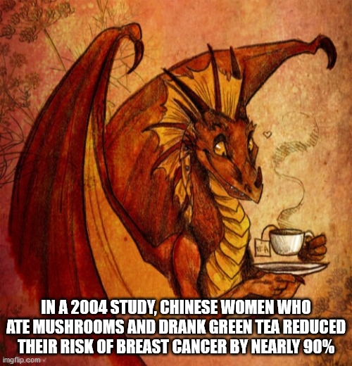 dragon meme - Real In A 2004 Study, Chinese Women Who Ate Mushrooms And Drank Green Tea Reduced Their Risk Of Breast Cancer By Nearly 90% imgflip.com