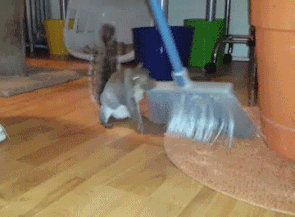 sweeping broom gif