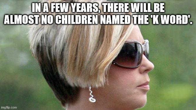 karen meme covid 19 - In A Few Years, There Will Be Almost No Children Named The 'K Word'. imgflip.com