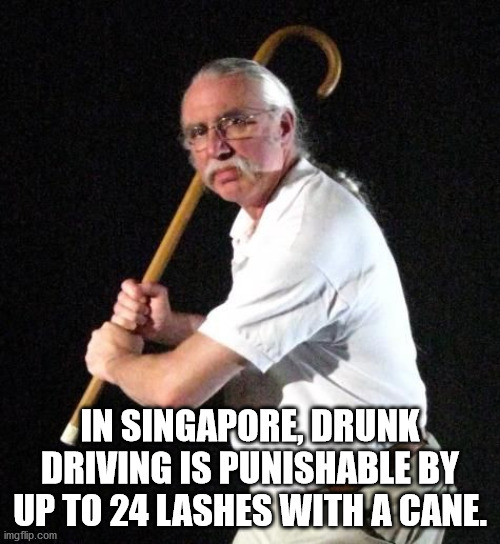 photo caption - In Singapore, Drunk Driving Is Punishable By Up To 24 Lashes With A Cane. imgflip.com