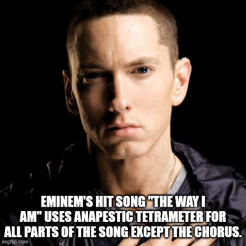 eminem memes - Eminem'S Hit Song "The Way I Am" Uses Anapestic Tetrameter For All Parts Of The Song Except The Chorus. imgflip.com
