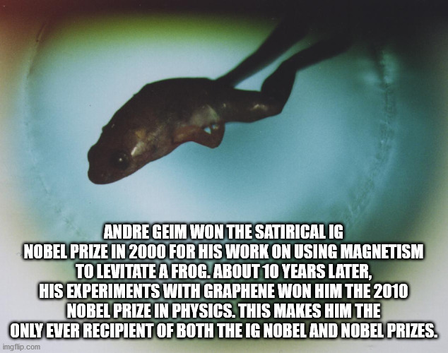 levitating frog - Andre Geim Won The Satirical Ig Nobel Prize In 2000 For His Work On Using Magnetism To Levitate A Frog. About 10 Years Later, His Experiments With Graphene Won Him The 2010 Nobel Prize In Physics. This Makes Him The Only Ever Recipient O