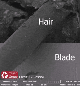 Scanning electron microscope - Hair Blade Taan Group Credit G. Roscioli Sem Hv 2.0 Kv Viewfield 198 m Wd 14.89 Det Se WIRA3 Tescan User roscioli Mit 50 m
