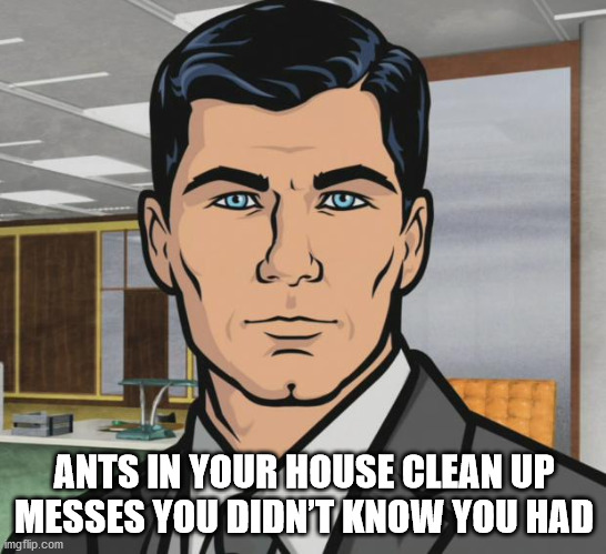 sterling archer - Ants In Your House Clean Up Messes You Didn'T Know You Had imgflip.com