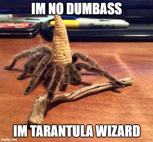 tarantula wizard - Im No Dumbass Im Tarantula Wizard imgflip.com
