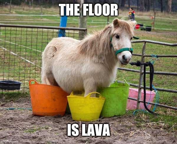 horses funny memes - The Floor Is Lava imgflip.com