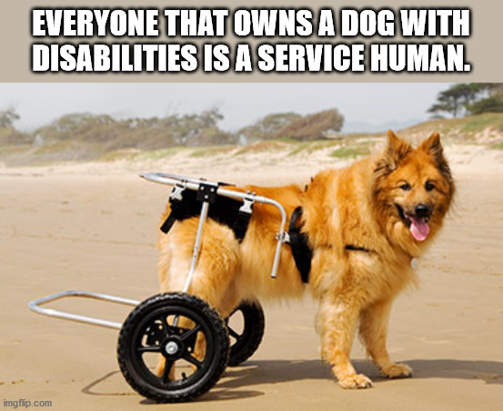 Everyone That Owns A Dog With Disabilities Is A Service Human. imgflip.com