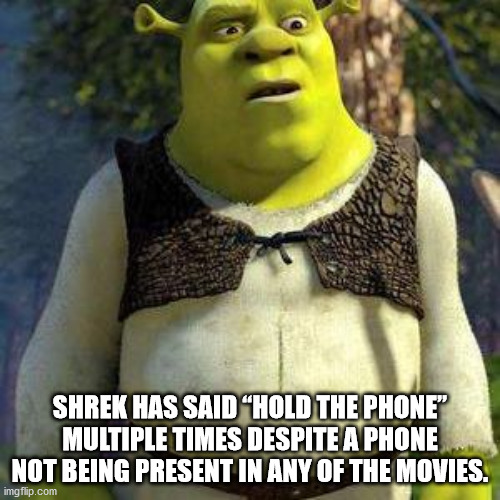 confused shrek - Shrek Has Said "Hold The Phone" Multiple Times Despite A Phone Not Being Present In Any Of The Movies. imgflip.com