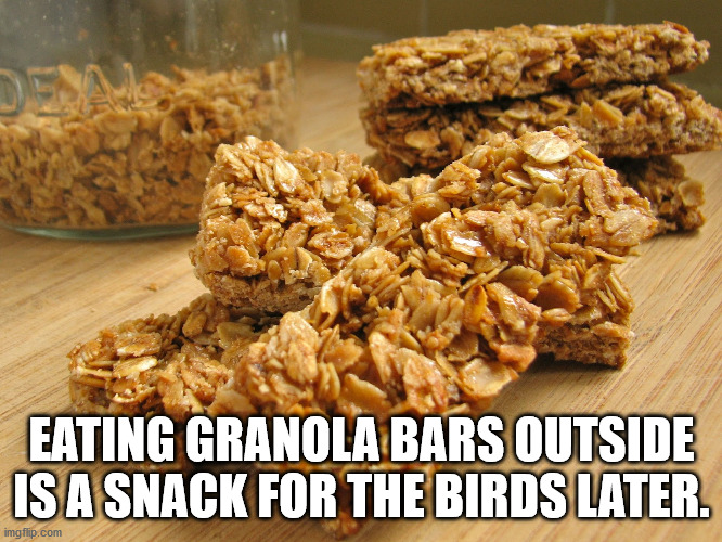 Eating Granola Bars Outside Is A Snack For The Birds Later. imgflip.com