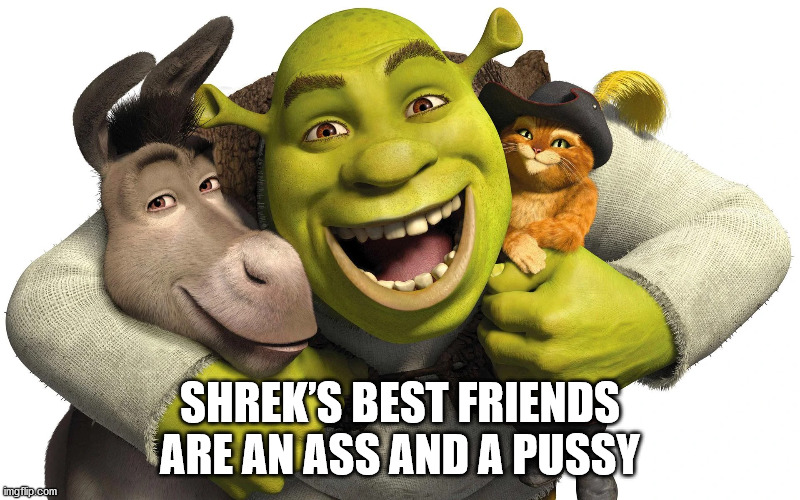 cartoon hd movies - Shrek'S Best Friends Are An Ass And A Pussy imgflip.com