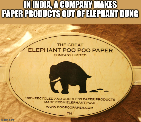 poo paper - In India, A Company Makes Paper Products Out Of Elephant Dung The Great Elephant Poo Poo Paper Company Limited a 100% Recycled And Odorless Paper Products Made From Elephant Poo! Tm imgflip.com