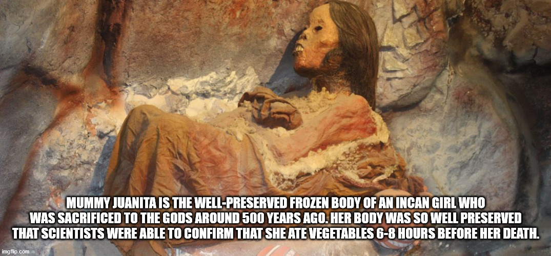 Mummy Juanita Is The WellPreserved Frozen Body Of An Incan Girl Who Was Sacrificed To The Gods Around 500 Years Ago. Her Body Was So Well Preserved That Scientists Were Able To Confirm That She Ate Vegetables 68 Hours Before Her Death. imgflip.com