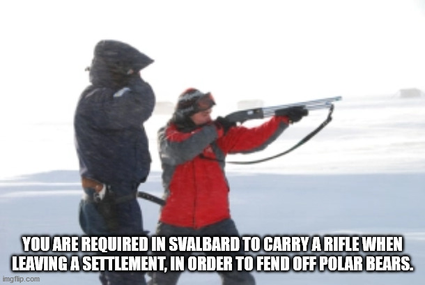 snow - You Are Required In Svalbard To Carry A Rifle When Leaving A Settlement, In Order To Fend Off Polar Bears. imgflip.com