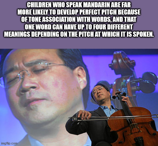 yo yo ma - Children Who Speak Mandarin Are Far More ly To Develop Perfect Pitch Because Of Tone Association With Words, And That One Word Can Have Up To Four Different Meanings Depending On The Pitch At Which It Is Spoken. imgflip.com
