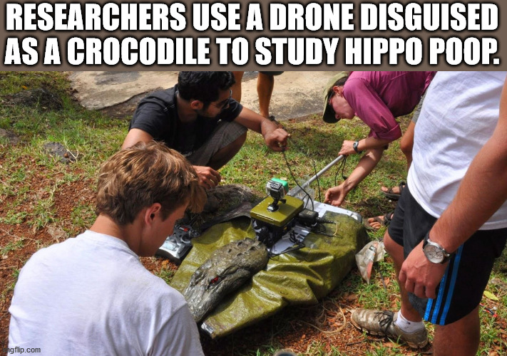 Researchers Use A Drone Disguised As A Crocodile To Study Hippo Poop ngflip.com