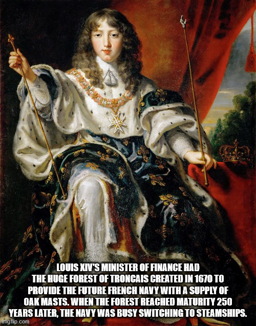 louis xiv - Louis Xiv'S Minister Of Finance Had The Huge Forest Of Troncais Created In 1670 To Provide The Future French Navy With A Supply Of Oak Masts. When The Forest Reached Maturity 250 Years Later, The Navy Was Busy Switching To Steamships. imgflip.