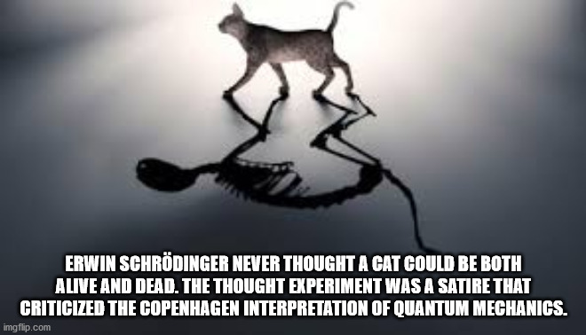 joseph ducreux meme - Erwin Schrdinger Never Thought A Cat Could Be Both Alive And Dead. The Thought Experiment Was A Satire That Criticized The Copenhagen Interpretation Of Quantum Mechanics. imgflip.com