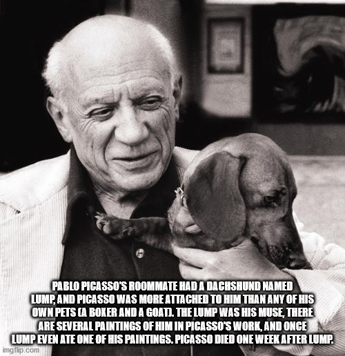 picasso and lump - Pablo Picasso'S Roommate Had A Dachshund Named Lump, And Picasso Was More Attached To Him Than Any Of His Own Pets La Boxer And A Goat.. The Lump Was His Muse, There Are Several Paintings Of Him In Picasso'S Work, And Once Lump Even Ate