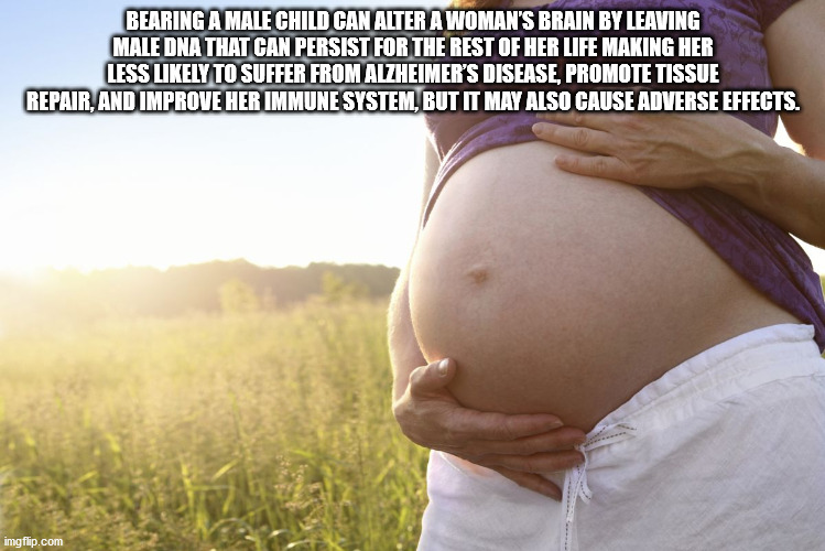 pregnant women meme - Bearing A Male Child Can Alter A Woman'S Brain By Leaving Male Dna That Can Persist For The Rest Of Her Life Making Her Less ly To Suffer From Alzheimer'S Disease, Promote Tissue Repair, And Improve Her Immune System, But It May Also