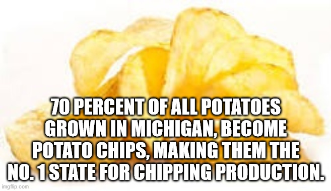 mijas - 70 Percent Of All Potatoes Grown In Michigan, Become Potato Chips, Making Them The No.1 State For Chipping Production. imgflip.com