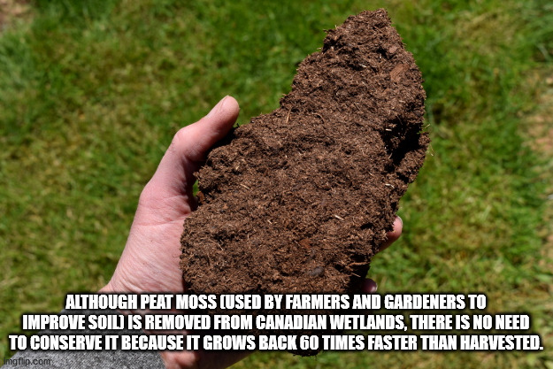 soil - Although Peat Moss Used By Farmers And Gardeners To Improve Soil Is Removed From Canadian Wetlands, There Is No Need To Conserve It Because It Grows Back 60 Times Faster Than Harvested. imgflip.com