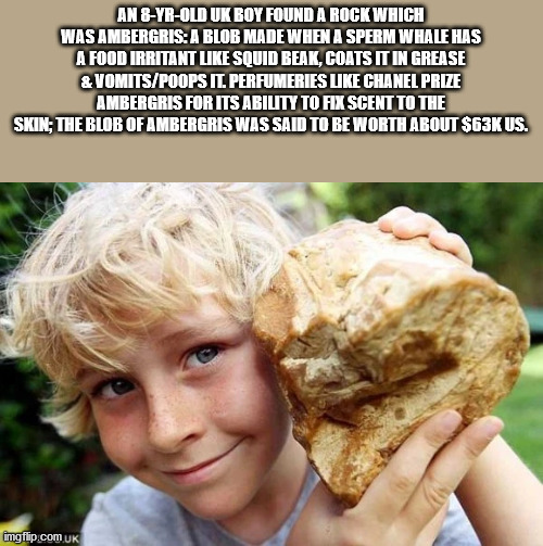 An 8YrOld Uk Boy Found A Rock Which Was Ambergris A Blob Made When A Sperm Whale Has A Food Irritant Squid Beak, Coats It In Grease & VomitsPoops Il Perfumeries Chanel Prize Ambergris For Its Ability To Fix Scent To The Skin, The Blob Of Ambergris Was Sai