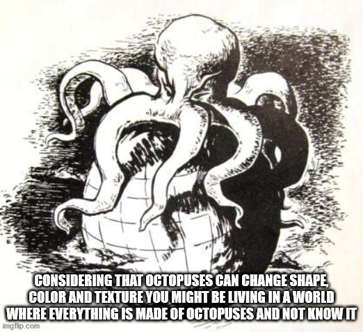 Some Soggy Shower Thoughts