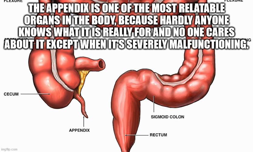 Some Soggy Shower Thoughts