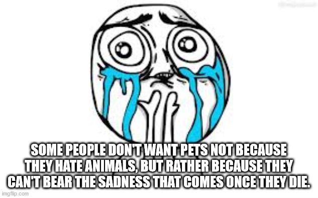 Some Soggy Shower Thoughts