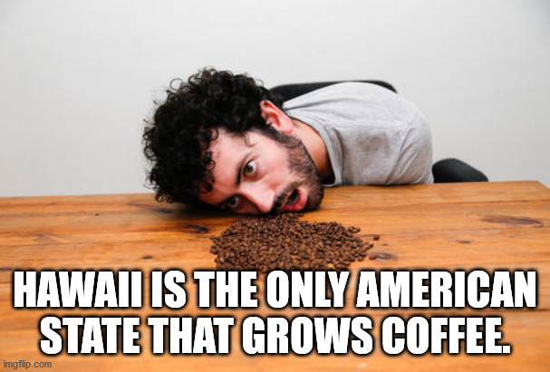 photo caption - Hawaii Is The Only American State That Grows Coffee. imgflip.com