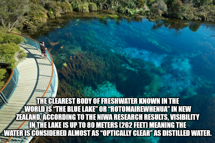 golden bay new zealand - The Clearest Body Of Freshwater Known In The World Is 'The Blue Lake" Or "Rotomairewhenua In New Zealand. According To The Niwa Research Results, Visibility In The Lake Is Up To 80 Meters 262 Feet Meaning The Water Is Considered A