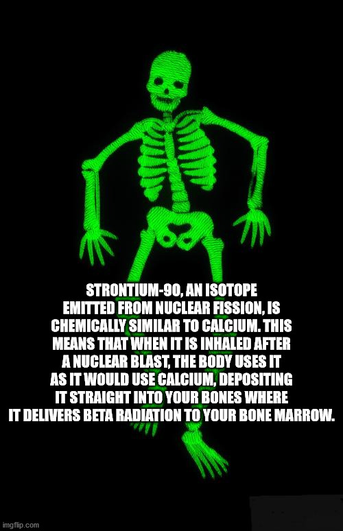 skeleton - Strontium90, An Isotope Emitted From Nuclear Fission, Is Chemically Similar To Calcium. This Means That When It Is Inhaled After A Nuclear Blast, The Body Uses It As It Would Use Calcium, Depositing It Straight Into Your Bones Where It Delivers