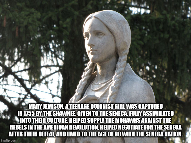 st. louis blues - Mary Jemison, A Teenage Colonist Girl Was Captured In 1755 By The Shawnee, Given To The Seneca, Fully Assimilated Into Their Culture, Helped Supply The Mohawks Against The Rebels In The American Revolution, Helped Negotiate For The Senec