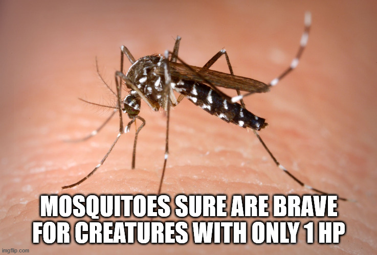 mosquito zika - Mosquitoes Sure Are Brave For Creatures With Only 1 Hp imgflip.com