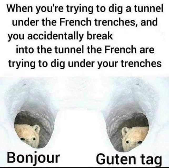 polar bear bonjour guten tag - When you're trying to dig a tunnel under the French trenches, and you accidentally break into the tunnel the French are trying to dig under your trenches Bonjour Guten tag