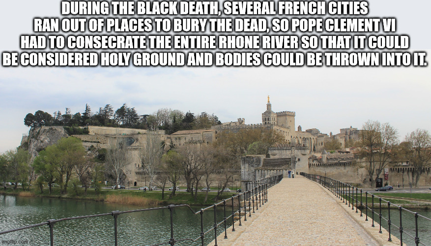 During The Black Death, Several French Cities Ran Out Of Places To Bury The Dead, So Pope Clement Vi Had To Consecrate The Entire Rhone River So That It Could Be Considered Holy Ground And Bodies Could Be Thrown Into It.