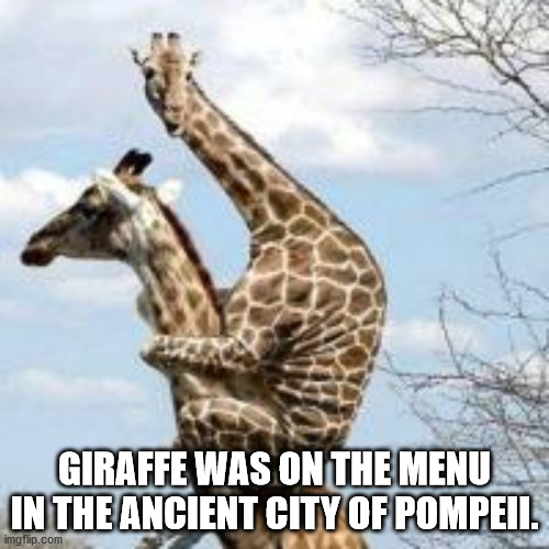 Giraffe Was On The Menu In The Ancient City Of Pompeii.