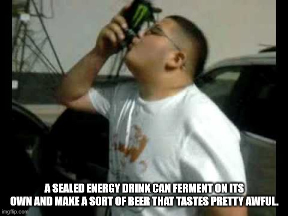 A Sealed Energy Drink Can Ferment On Its Own And Make A Sort Of Beer That Tastes Pretty Awful.