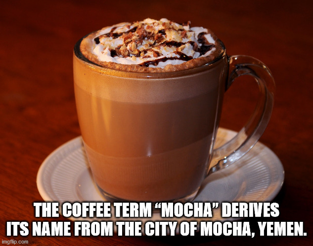 The Coffee Term mocha derives its name from the city of mocha yemen