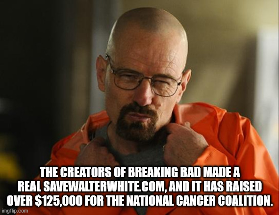 The Creators Of Breaking Bad Made A Real Savewalterwhite.Com, And It Has Raised Over $125,000 For The National Cancer Coalition.