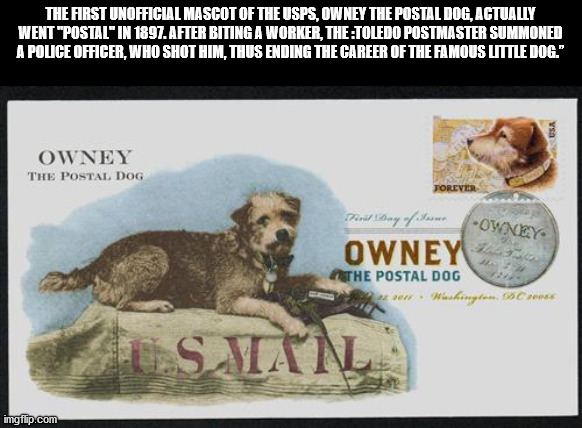 fauna - The First Unofficial Mascot Of The Usps, Owney The Postal Dog, Actually Went "Postal" In 1897. After Biting A Worker, TheToledo Postmaster Summoned A Police Officer, Who Shot Him, Thus Ending The Career Of The Famous Little Dog." Vsa Owney The Pos