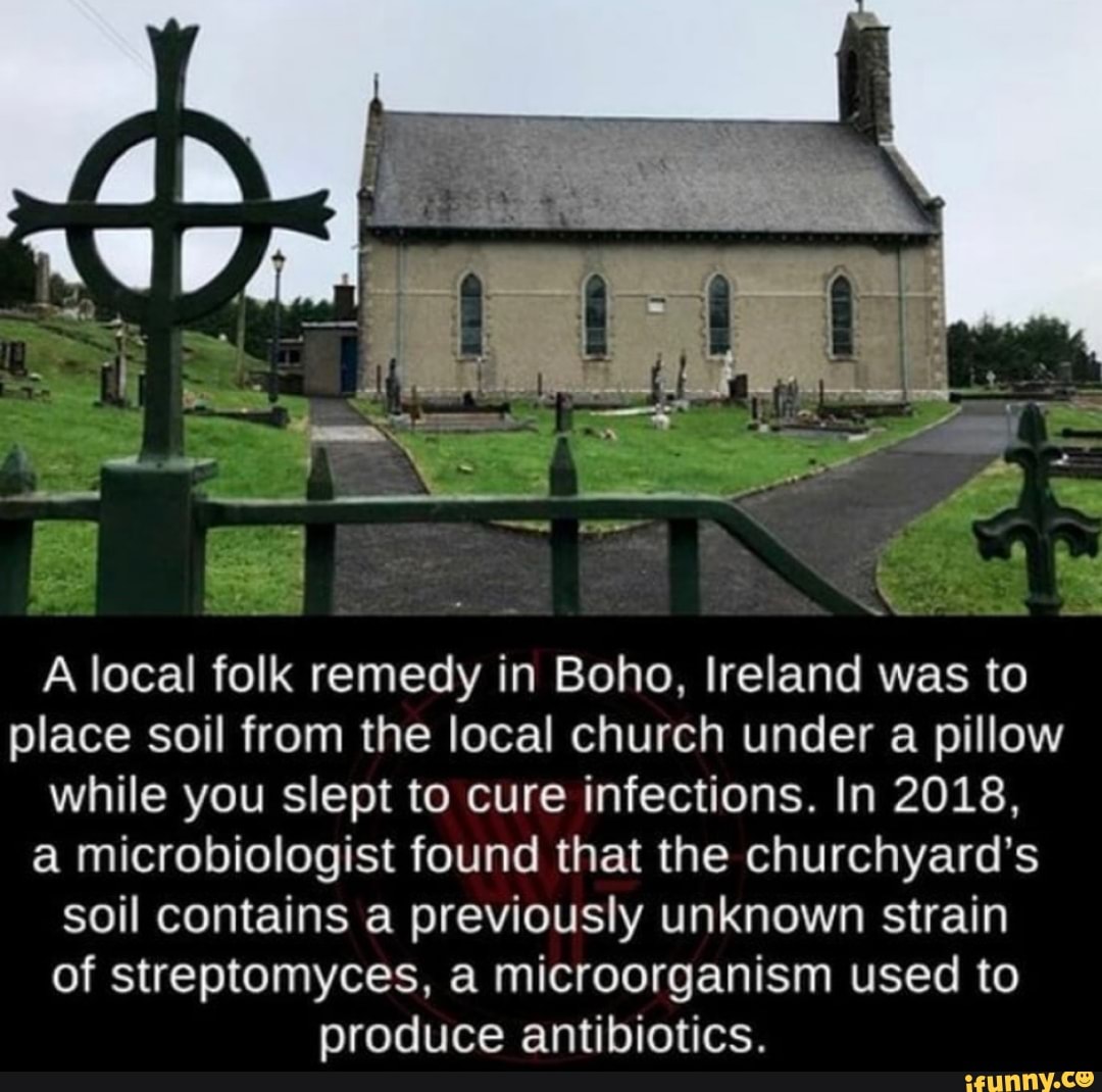 Cure - A local folk remedy in Boho, Ireland was to place soil from the local church under a pillow while you slept to cure infections. In 2018, a microbiologist found that the churchyard's soil contains a previously unknown strain of streptomyces, a micro
