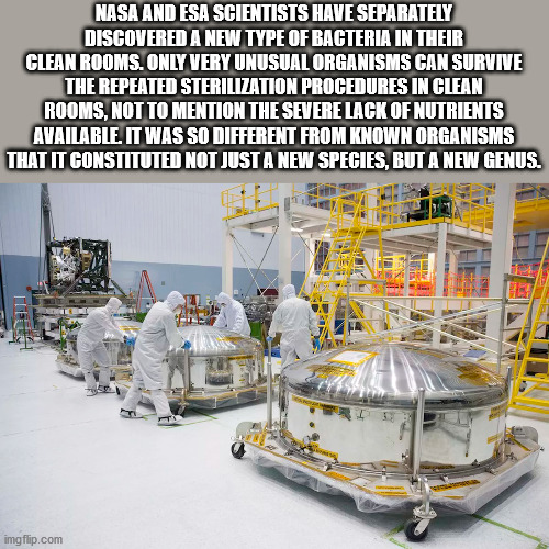 engineering - Nasa And Esa Scientists Have Separately Discovered A New Type Of Bacteria In Their Clean Rooms. Only Very Unusual Organisms Can Survive The Repeated Sterilization Procedures In Clean Rooms, Not To Mention The Severe Lack Of Nutrients Availab